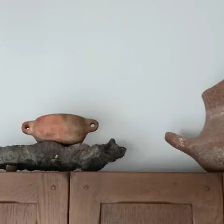 Casa Pescado A La Sombra De Un Drago أرّاثيفي